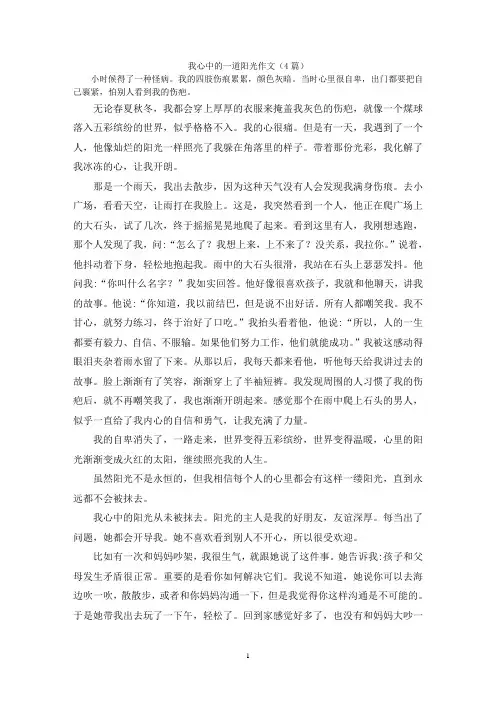 我心中的一道阳光作文(4篇)