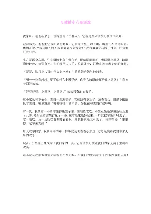 可爱的小八哥活泼