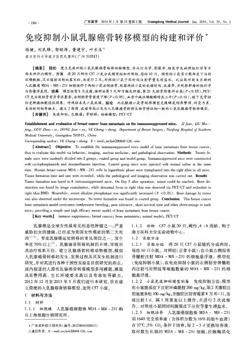 免疫抑制小鼠乳腺癌骨转移模型的构建和评价