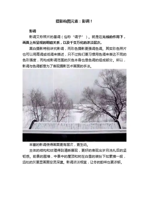 摄影构图元素：影调！
