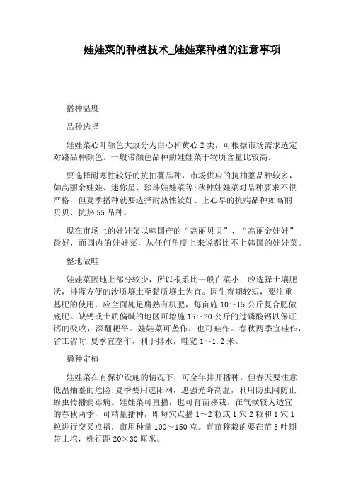 娃娃菜种植的注意事项