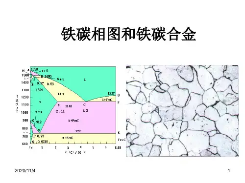 铁碳相图和铁碳合金(白底+简化)