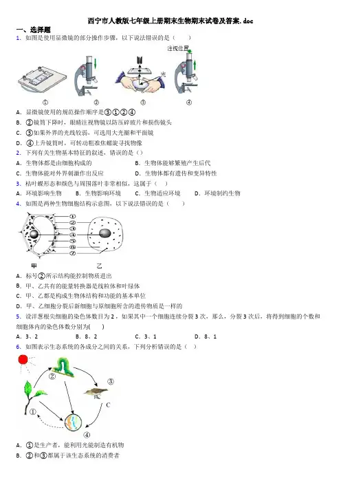 西宁市人教版七年级上册期末生物期末试卷及答案.doc