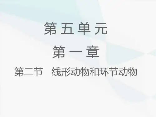 人教版 第一章   动物的主要类群 第二节 线形动物和环节动物课件