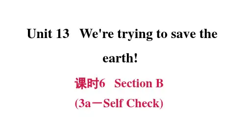 人教版PEP初中英语九年级下册优秀课件Uint13   课时6SectionB3Self Check