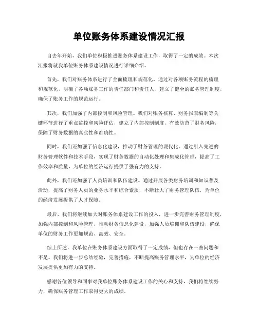 单位账务体系建设情况汇报