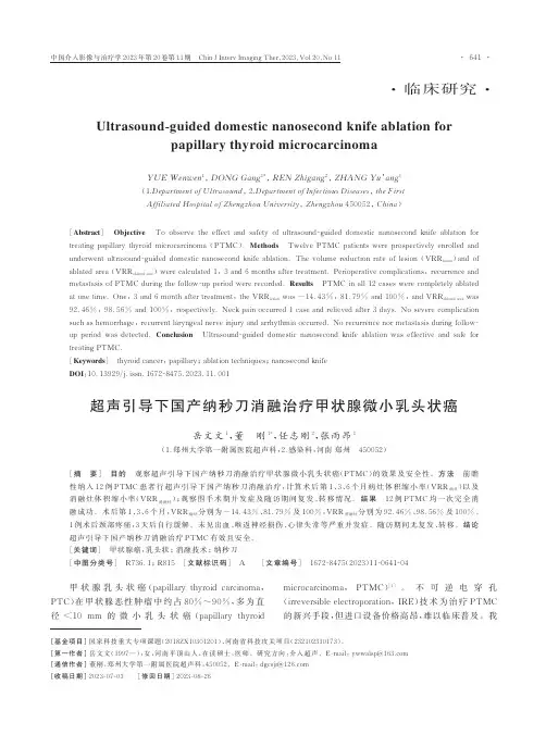 超声引导下国产纳秒刀消融治疗甲状腺微小乳头状癌