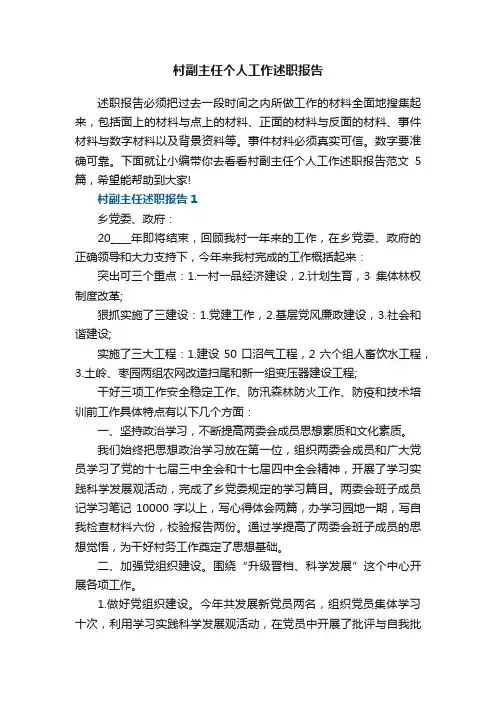 村副主任个人工作述职报告范文5篇