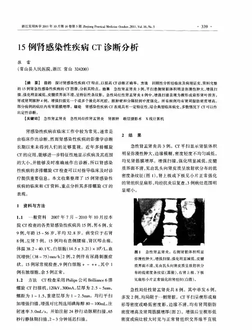 15例肾感染性疾病CT诊断分析