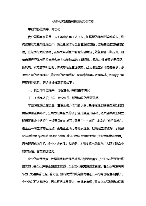 供电公司班组建设特色亮点汇报