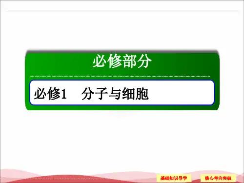 2018届高考生物一轮复习课件：1-3-1、3 细胞膜—系统的边界