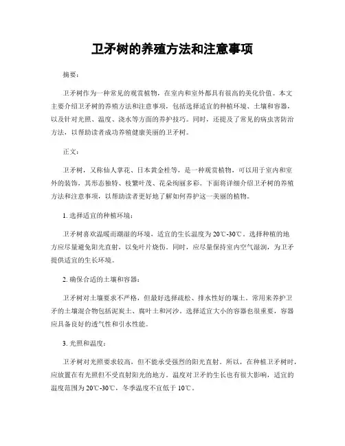 卫矛树的养殖方法和注意事项