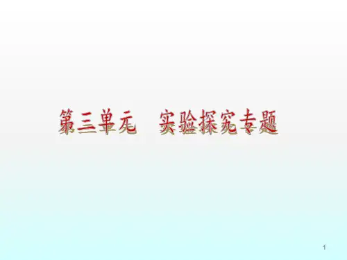 九年级化学实验探究专题ppt课件