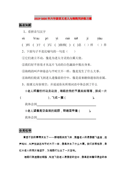 2019-2020年六年级语文老人与海鸥同步练习题