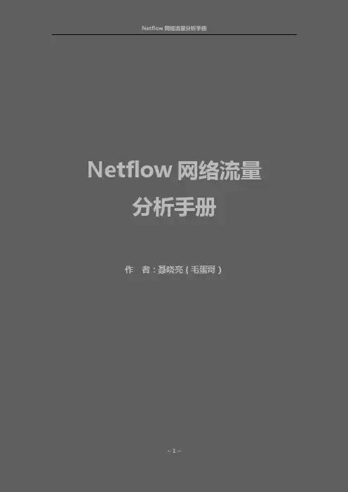 Nfsen网络流量分析手册