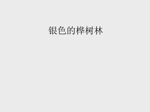 湖南文艺出版社小学三年级音乐上册(简谱)：银色的桦树林_课件1