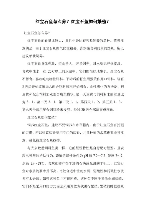红宝石鱼怎么养？红宝石鱼如何繁殖？