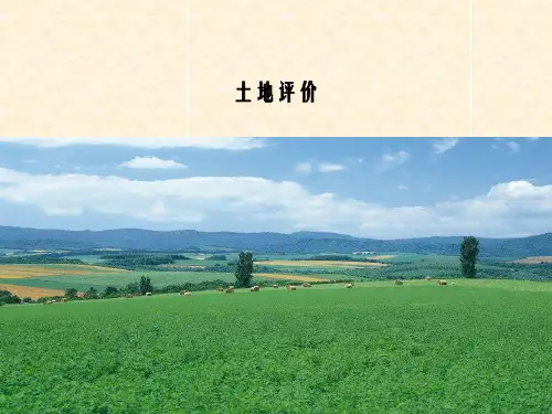 土地科学专题：土地评价