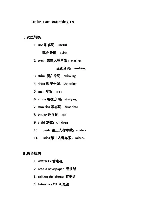 2013最新新目标七年级英语下册Unit6 I am watching TV.单元知识点总结