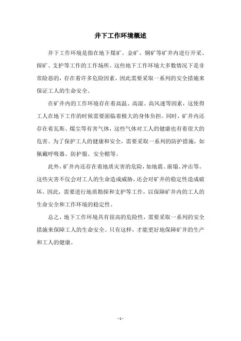 井下工作环境概述