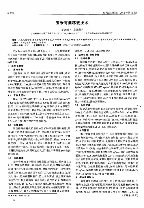 玉米育苗移栽技术