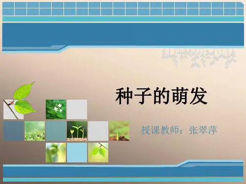 济南版八年级上册1.4种子的萌发 课件优秀课件