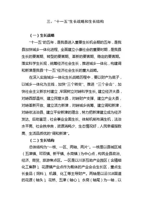 三、“十一五”发展战略和发展布局