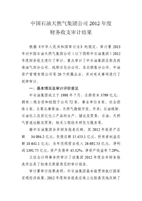 中石油审计署审计报告=