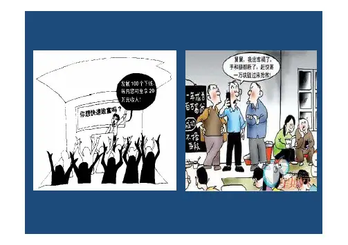 庞氏骗局案例分析(仅供参考)