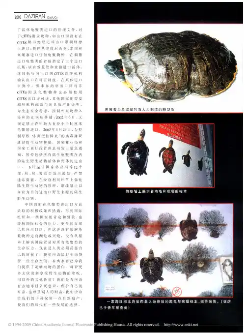 生态危机_国内市场上的龟鳖类