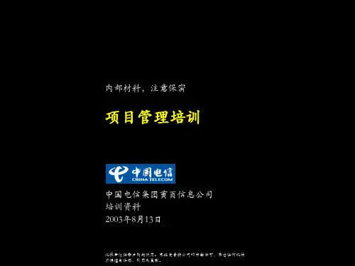 麦肯锡-中国电信-项目管理培训