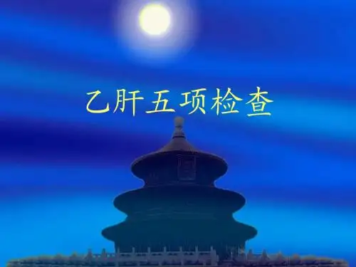 乙肝五项检查
