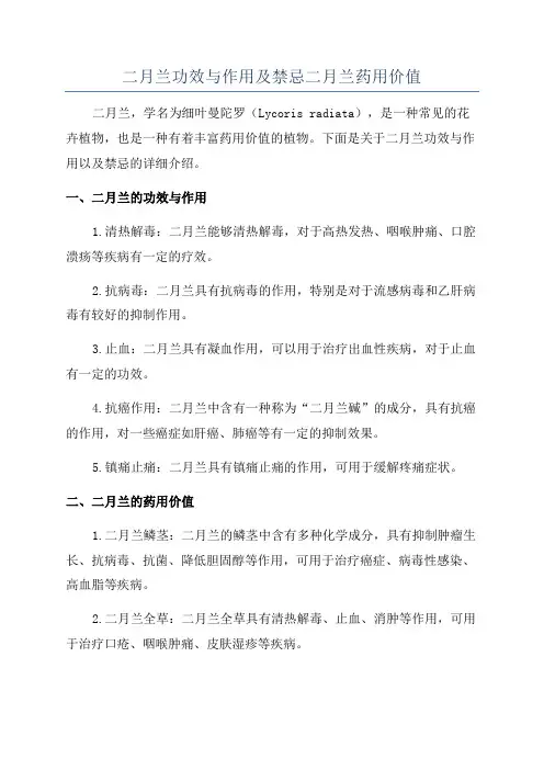 二月兰功效与作用及禁忌二月兰药用价值