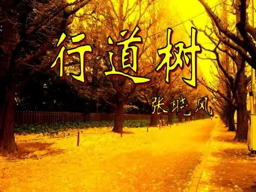 初中语文《行道树》(共24张)ppt123