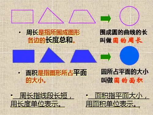 《数学圆的面积》ppt课件