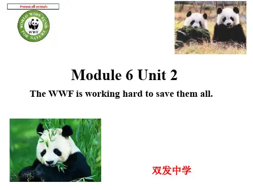 外研版八年级英语上册 Module 6 Unit 2-课件(2)