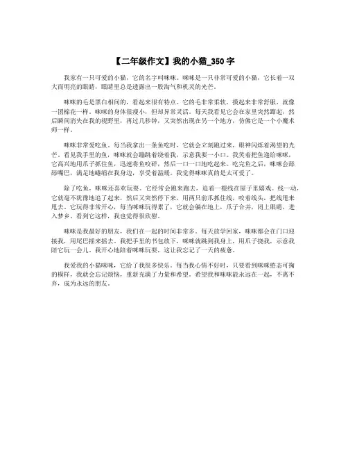 【二年级作文】我的小猫_350字