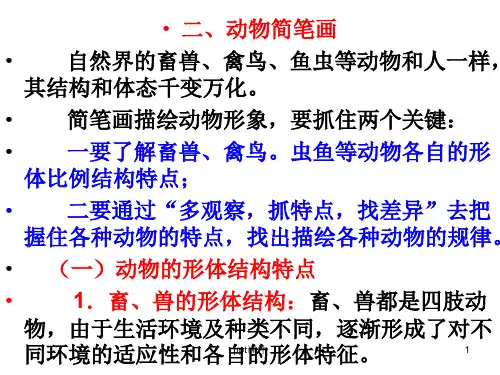 简笔画大全  ppt课件