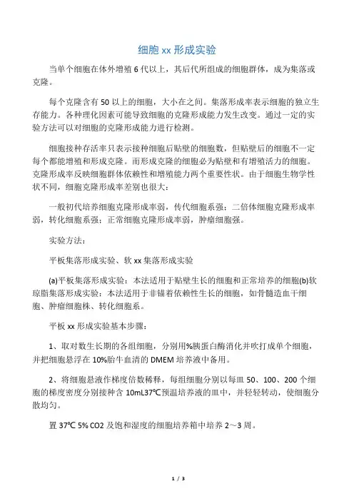 细胞克隆形成实验