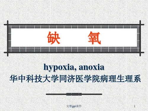 病理生理学第6版课件(缺氧),