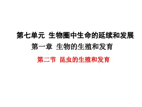 人教版部编版八年级生物下册第二节《昆虫的生殖和发育》精品ppt课件