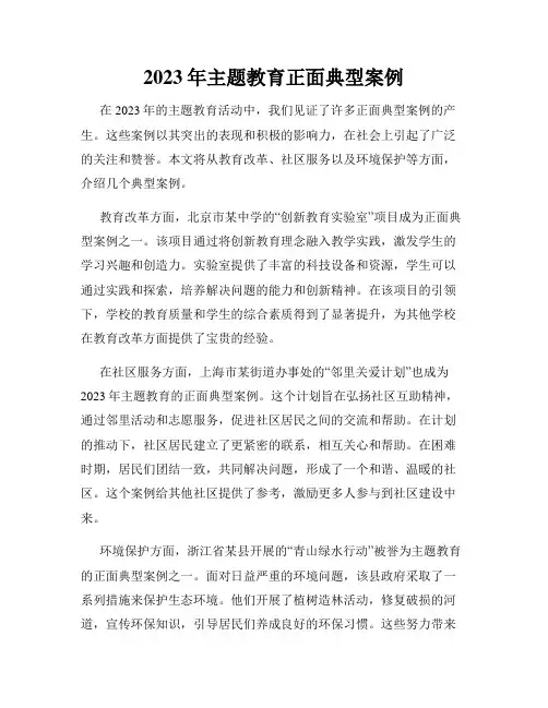 2023年主题教育正面典型案例