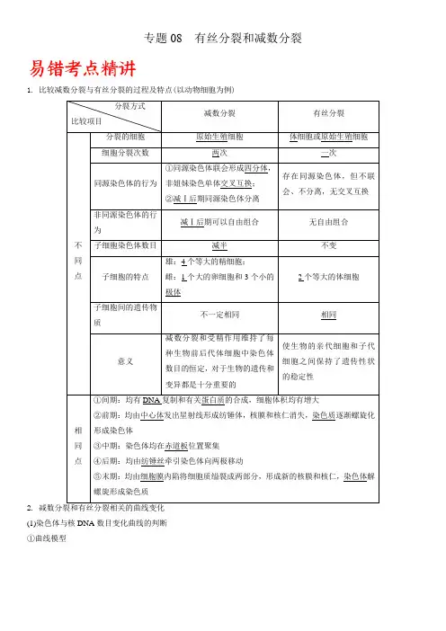 专题08 有丝分裂和减数分裂-备战2022年高考生物易错点突破巧讲精练(解析版)