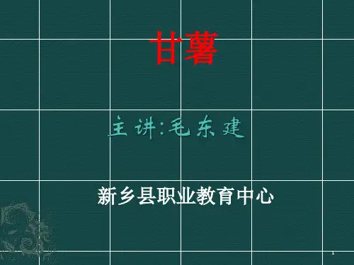 红薯概述与生物学特性ppt课件