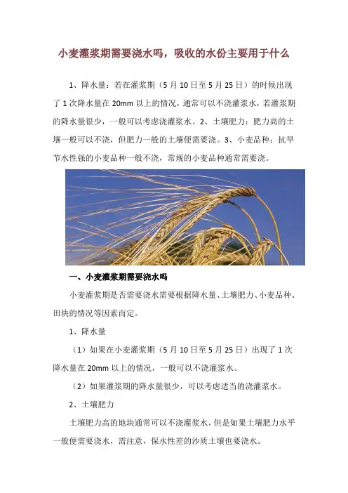 小麦灌浆期需要浇水吗,吸收的水份主要用于什么