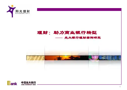光大银行理财案例研究课件