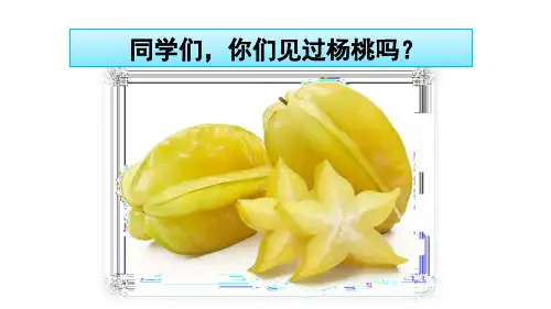 2020春部编版语文二年级下册课件-第五单元-13 画杨桃