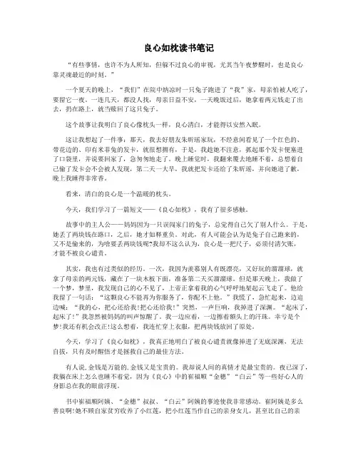 良心如枕读书笔记