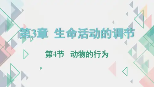 3.4 动物的行为(课件 34张PPT)
