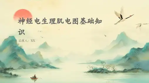 神经电生理肌电图基础知识